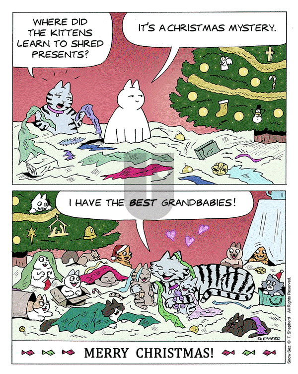Snow Sez on Wednesday December 25, 2024 Comic Strip