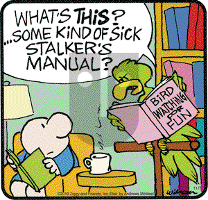 Ziggy on Thursday November 7, 2019 Comic Strip