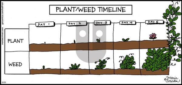 Half Full on Sunday May 25, 2014 Comic Strip
