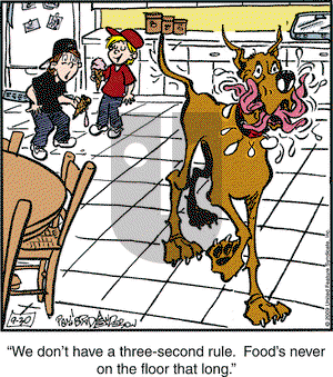 Marmaduke on Wednesday September 30, 2009 Comic Strip