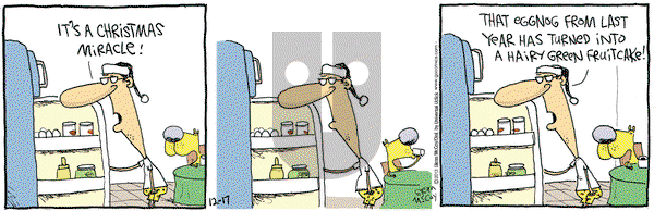 The Duplex on Tuesday December 17, 2013 Comic Strip