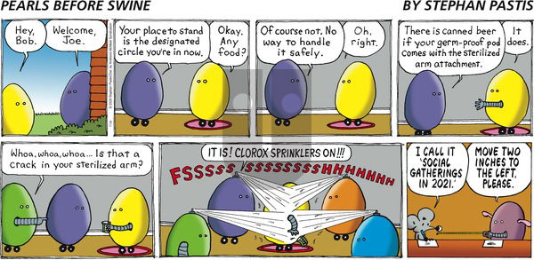 Pearls Before Swine - Sunday July 19, 2020 Comic Strip