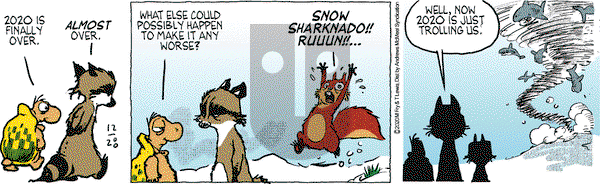 Over the Hedge on Monday December 28, 2020 Comic Strip