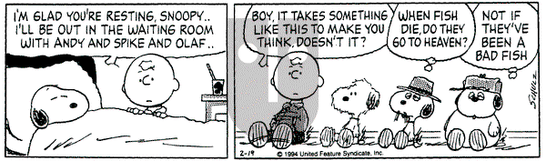 Peanuts on Saturday February 19, 1994 Comic Strip