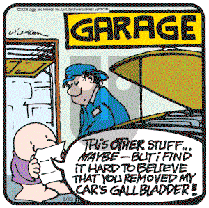 Ziggy on Friday June 13, 2008 Comic Strip