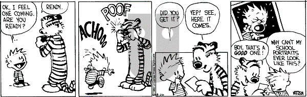 Calvin and Hobbes - Friday August 26, 1988 Comic Strip