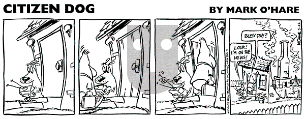 Citizen Dog on Friday May 9, 2025 Comic Strip