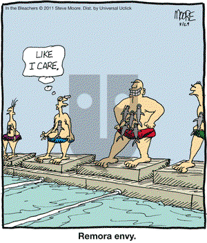In the Bleachers on Tuesday March 29, 2011 Comic Strip