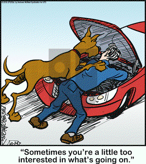 Marmaduke on Wednesday October 24, 2018 Comic Strip