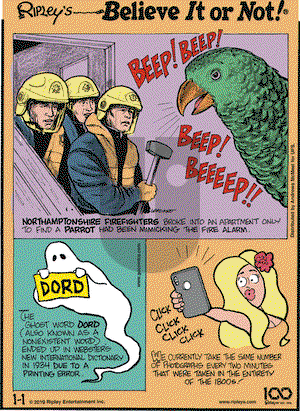 Ripley's Believe It or Not on Tuesday January 1, 2019 Comic Strip