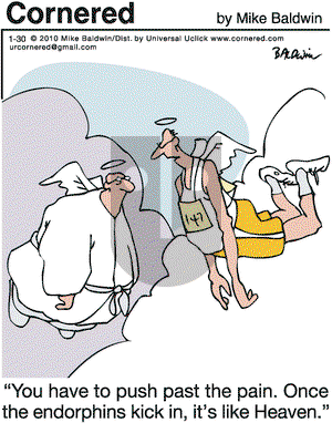 Cornered on Saturday January 30, 2010 Comic Strip