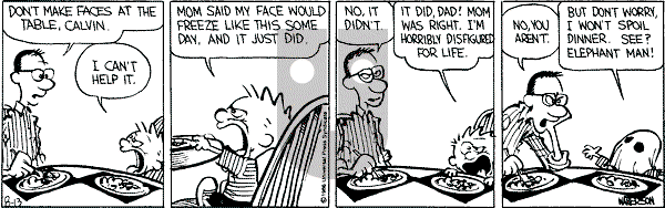 Calvin and Hobbes - Wednesday August 13, 1986 Comic Strip