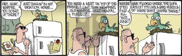 Monty on Saturday July 20, 2019 Comic Strip