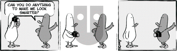 W.T. Duck on Sunday December 24, 2023 Comic Strip