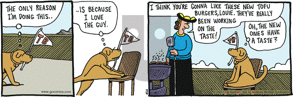 Overboard on Saturday August 21, 2021 Comic Strip