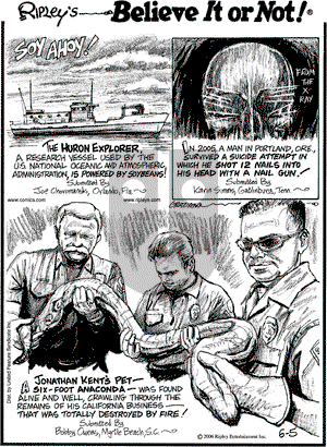 Ripley's Believe It or Not on Monday June 5, 2006 Comic Strip