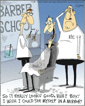 The Flying McCoys on Wednesday November 28, 2012 Comic Strip