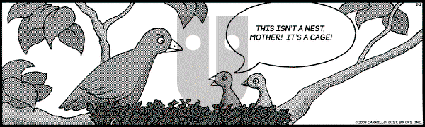 F Minus on Tuesday March 11, 2008 Comic Strip