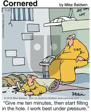Cornered on Tuesday November 20, 2018 Comic Strip