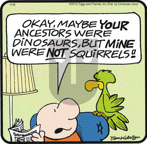 Ziggy on Wednesday November 6, 2013 Comic Strip