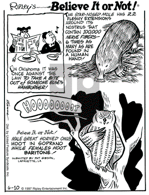 Ripley's Believe It or Not on Tuesday June 10, 1997 Comic Strip