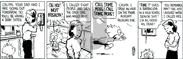 Calvin and Hobbes - Monday December 23, 1991 Comic Strip