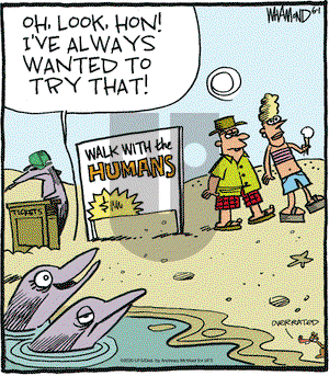 Reality Check on Monday June 1, 2020 Comic Strip