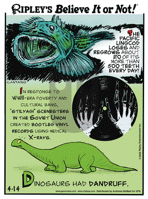 Ripley's Believe It or Not on Monday April 14, 2025 Comic Strip