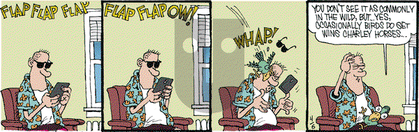 Monty - Saturday April 6, 2024 Comic Strip