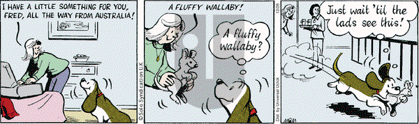 Fred Basset on Thursday December 26, 2013 Comic Strip