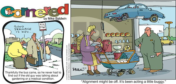 Cornered on Sunday August 31, 2014 Comic Strip