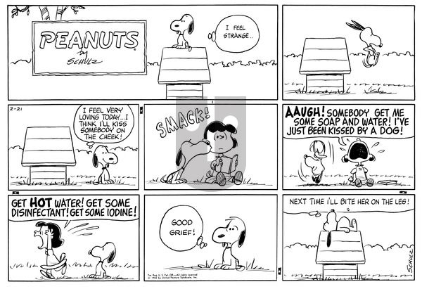 Peanuts on Sunday February 21, 1965 Comic Strip