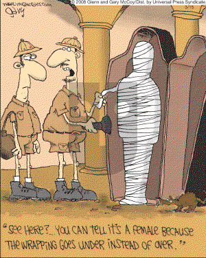 The Flying McCoys on Saturday March 15, 2008 Comic Strip