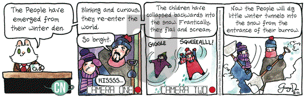 Breaking Cat News on Tuesday February 11, 2020 Comic Strip