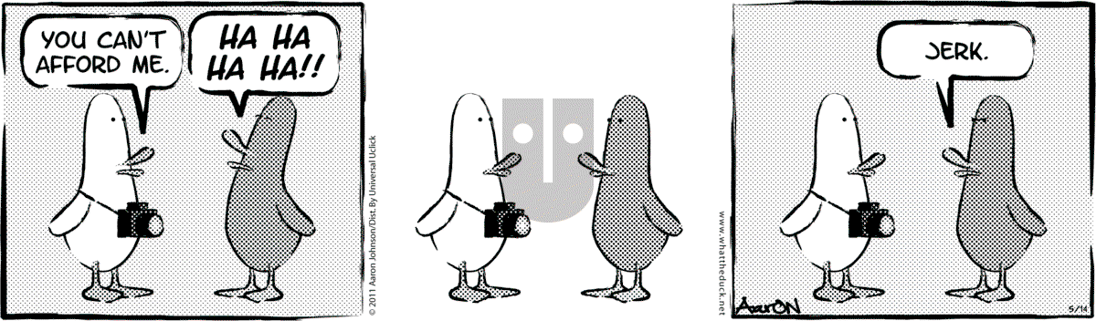 W.T. Duck - Thursday November 2, 2023 Comic Strip