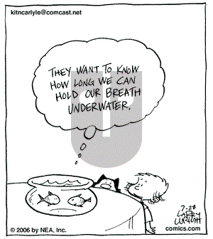 Kit 'N' Carlyle on Friday July 28, 2006 Comic Strip