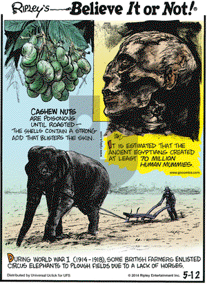 Ripley's Believe It or Not on Monday May 12, 2014 Comic Strip