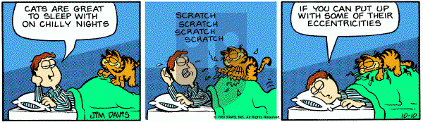 Garfield on Friday October 10, 1980 Comic Strip