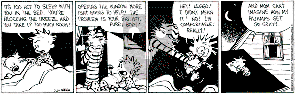 Calvin and Hobbes on Wednesday July 29, 1992 Comic Strip
