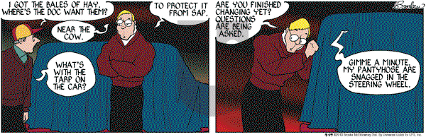 9 Chickweed Lane on Friday April 19, 2013 Comic Strip