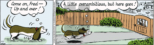 Fred Basset on Tuesday August 20, 2019 Comic Strip