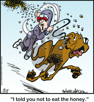 Marmaduke on Wednesday November 7, 2018 Comic Strip