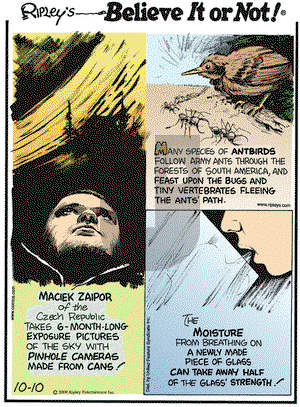 Ripley's Believe It or Not on Tuesday October 13, 2009 Comic Strip