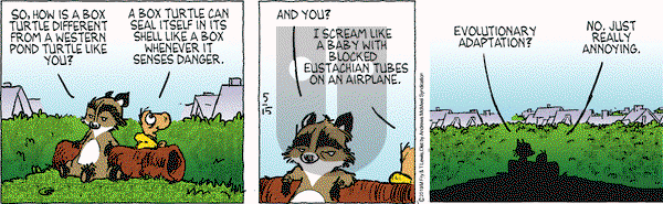Over the Hedge on Wednesday May 15, 2019 Comic Strip