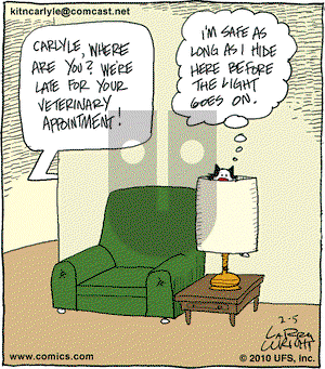 Kit 'N' Carlyle on Friday February 5, 2010 Comic Strip