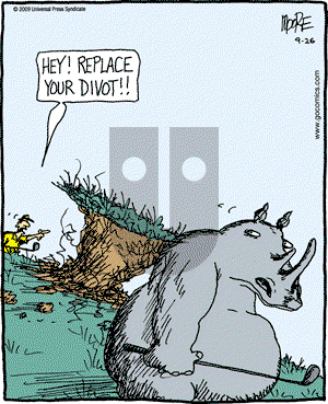 In the Bleachers - Saturday September 26, 2009 Comic Strip