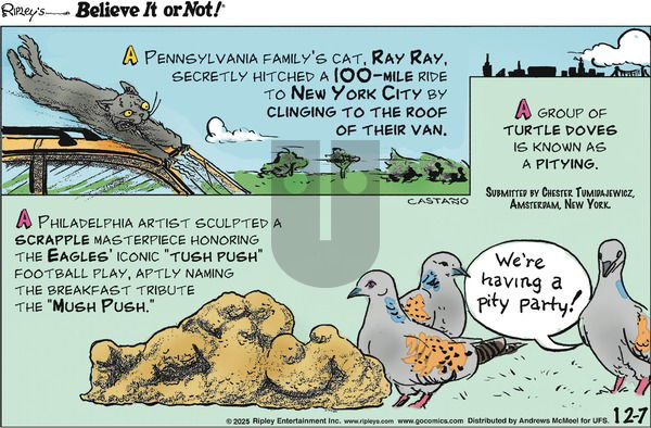Ripley's Believe It or Not on Sunday December 7, 2025 Comic Strip