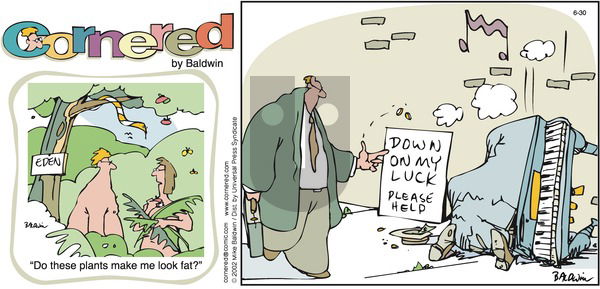 Cornered on Sunday June 30, 2002 Comic Strip