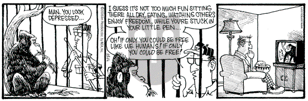 Monty on Saturday October 21, 2006 Comic Strip