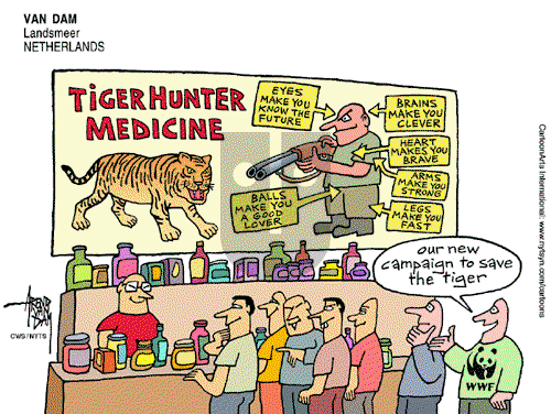 ViewsBusiness on Sunday November 28, 2010 Comic Strip
